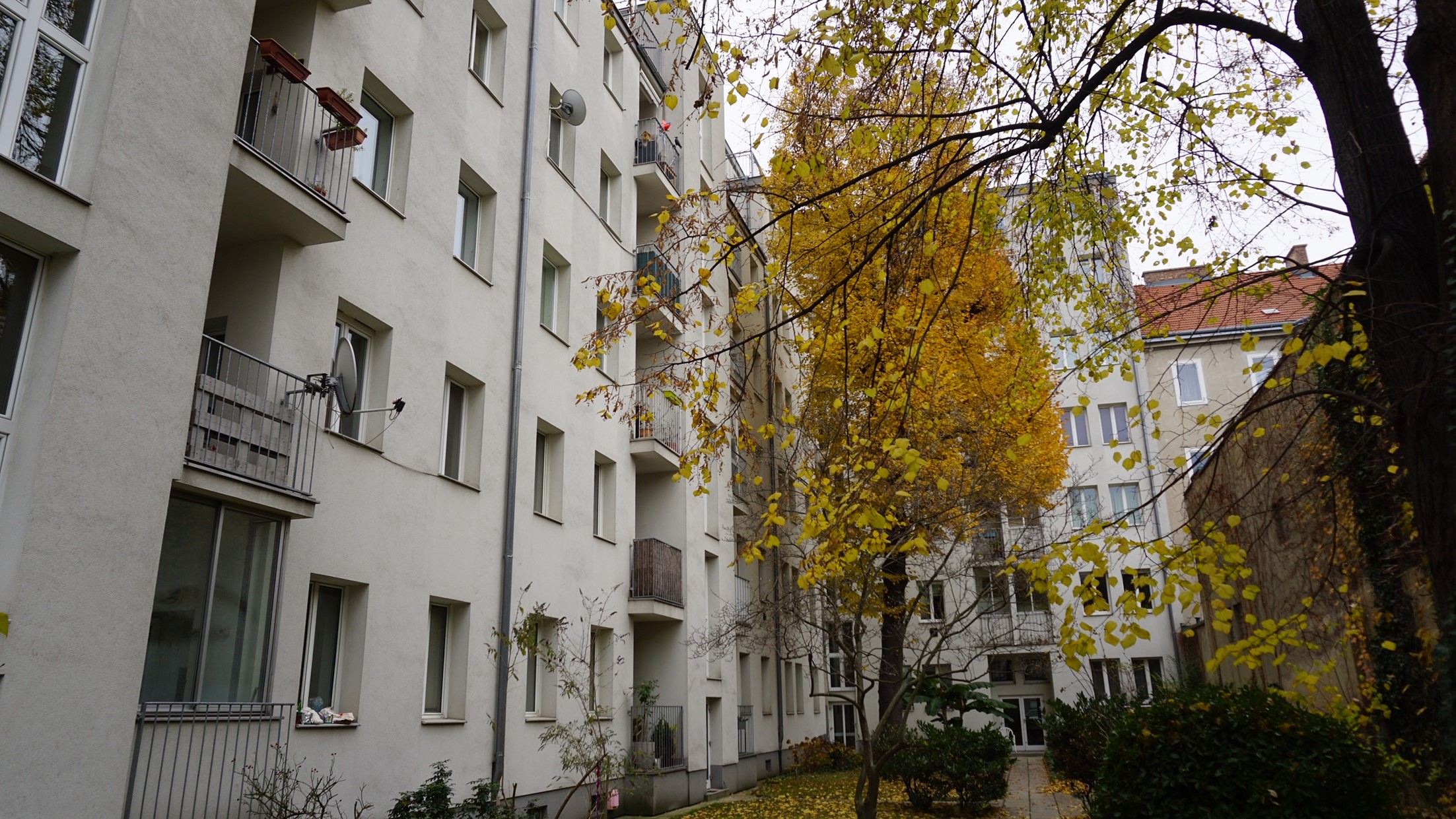 Helle 2 Zimmerwohnung inmitten des 5. Bezirks Objekt_224