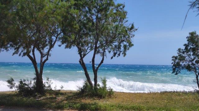 Wunderschönes Baugrundstück im Süden von RHODOS Objekt_216