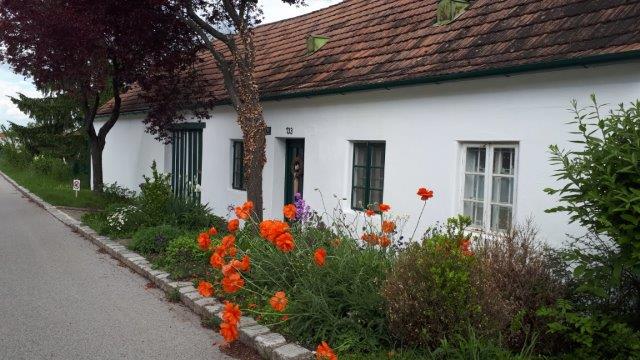 VERMIETET Entzückendes, solides Landhaus im nördlichen Weinviertel zu vermieten Objekt_172