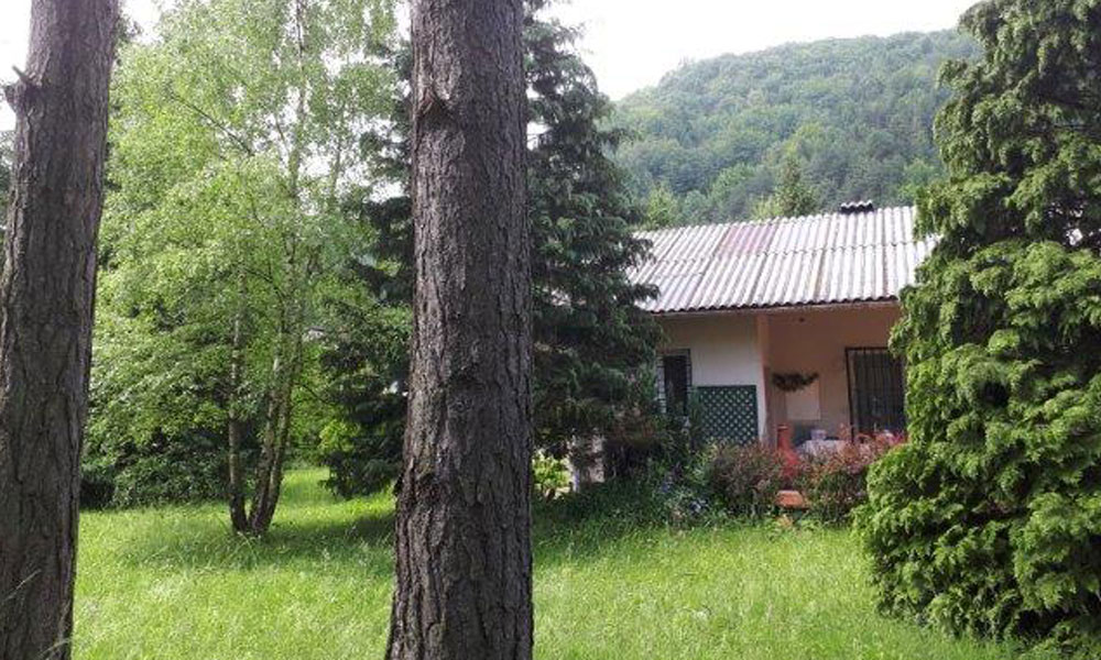 Gepflegter Bungalow in Ruhelage von Gutenstein Objekt_157