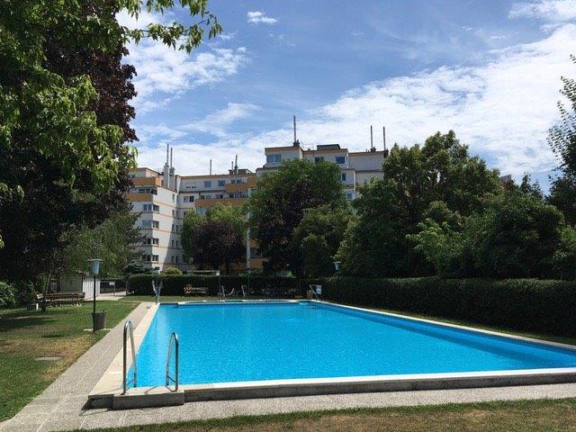 Unbefristet, neu adaptiert, 38 m², Swimmingpool Objekt_199
